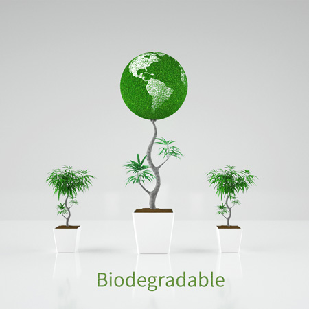 Biodegradable Wipe