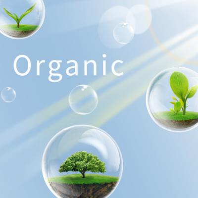 Organic Wipe